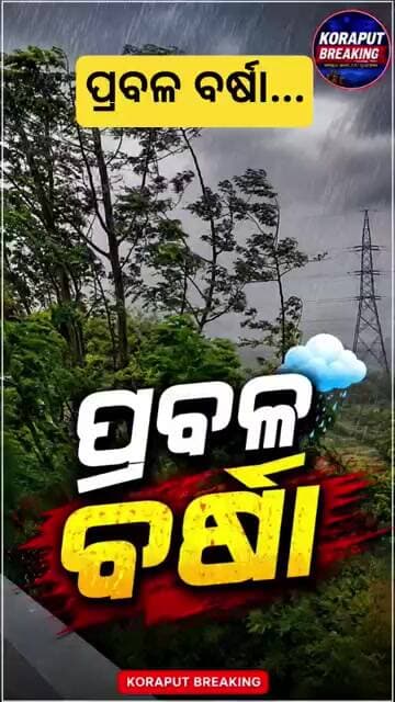 Koraput Rain Alert | ପ୍ରବଳ ବର୍ଷାରେ ଭିଜିଲା କୋରାପୁଟ ସହର ...#shorts #shortsfeed #rain #foryou #viral