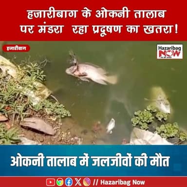 मरता ओकनी तालाब! जलजीवों की मौत से बढ़ी चिंता
हजारीबाग के ओकनी तालाब में जलजीवों की मौत के बाद प्रशासन हरकत में। प्रदूषण की जांच शुरू, सफाई अभियान की तैयारी।
#Hazaribagh #OkniTalab #Jharkhand #BreakingNews #Pollution #SaveWater
