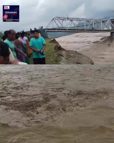 চিমেন চাপৰিত বানৰ সংহাৰী ৰূপৰ।।চিমেন নৈৰ বানৰ ফলত ভাঙি পৰিল দলং।