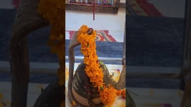 #बाबा नर्बदेश्वर महादेव जी के जलाभिषेक के दर्शन कर पुण्य के भागी बने, हर हर महादेव 🙏@
