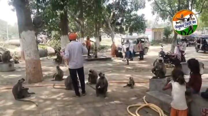 #मांझी के #रामघाट स्थित हनुमान गढ़ी मन्दिर परिसर में मंगलवार की सुबह #बंदरों को गुड़ खिलाते साधु। पेड़ों पर निर्वाध उछल कूद करने वाले दर्जनों बंदरों को #संत_महात्माओ द्वारा यहां प्रतिदिन सुबह बिस्किट अथवा गुड़ मिश्रित सत्तू से कराया जाता है नाश्ता। दोपहर में बंदरों को पंगत के लिए मिलता है रोटी और चावल दाल तथा शाम को फलाहार करके पेड़ों पर रवाना होते हैं दर्जनों छोटे बड़े बंदर। साधु संतों के मित्र बने बंदर संतों के साथ शरारती बच्चों की तरह करते हैं अठखेलियाँ। #saran #Daudpur #chapra #माँझी #ramghat #𝙈𝙖𝙣𝙟𝙝𝙞