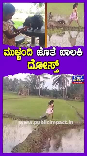 ಮುಳ್ಳಂದಿ ಜೊತೆ ಬಾಲಕಿ ದೋಸ್ತ್