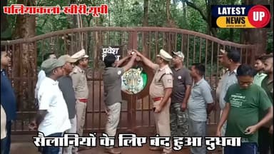 सैलानियों के लिए बंद हुआ दुधवा
-अब 15 नवम्बर से फिर दुधवा के दुर्लभ वन्यजीवों के दीदार कर सकेंगे पर्यटक
#paliakalannews
#lakhimpurnews
#UPNews
#LatestNews
#dudwatigerreserve