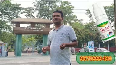 #अररिया और #पूर्णिया में यह जगह पर मिलता है एक #अजूबा सा #मेडिसिन