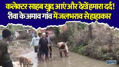 रीवा: अमाव में जलभराव से हाहाकार,कलेक्टर से कार्रवाई की मांग, नहीं हुई सुनवाई तो आंदोलन
#Rewa #Amaw #Teonthar #Waterlogging #MadhyaPradesh #RewaNews #VillageNews #RainUpdate #RoadProblem #Collector #MPNews #BreakingNews #vindhyatimes #rewanews #satnanews #shahdolnews #sidhinews #annupurews #umariyanews #singraulinews #naigarhinews #news #mpnews #hindinew #live #bhopal #indore #newsupdate #newslive #Rewa #Amaw #Teonthar #Waterlogging #MadhyaPradesh #RewaNews #VillageNews #RainUpdate #RoadProblem #Collector #MPNews #BreakingNews
