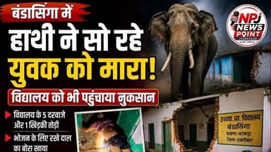 बंडासिंगा में हाथी ने विद्यालय के बरामदे में सो रहे एक व्यक्ति को जान से मारा।@npj#npj