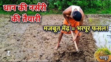 🌾 इस खेत में धान की नर्सरी तैयार करने के लिए मजबूत मेंढ़ बनाई जा रही है, ताकि पानी का सही प्रबंधन हो और स्वस्थ पौध तैयार होकर भरपूर फसल की नींव रखे। 🌱#मजबूत #मेंढ़#farminglife🌾👨🌾 #reelvideo@yogendra33238