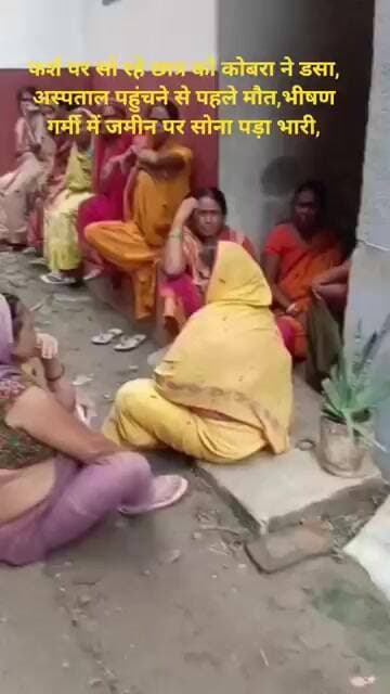 फर्श पर सो रहे छात्र को कोबरा ने डसा, अस्पताल पहुंचने से पहले मौत,