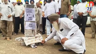 यमुनानगर में 'सतलुज' फिल्म पर रोक के खिलाफ सिख संगत का गुस्सा, सेंसर बोर्ड का पुतला फूंका 🪯
#Yamunanagar #SatlujFilm #SikhCommunity #HaryanaNews #hr71news
