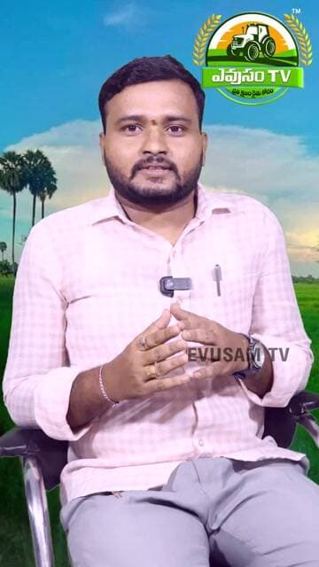 KNM 7715 Paddy Telugu | High Yield Rice Variety | Disease Resistant Paddy | 2026