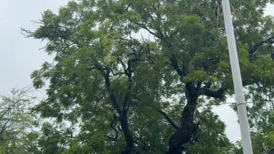 🌧️ आपके क्षेत्र का मौसम कैसा है?
कहाँ-कहाँ बारिश हो रही है और किन इलाकों में जलभराव की समस्या सामने आ रही है?
यदि आपके क्षेत्र में सड़कें जलमग्न हैं, लोगों को परेशानी हो रही है या बारिश से जुड़ी कोई महत्वपूर्ण स्थिति है, तो उसकी वीडियो और फोटो हमें हमारे व्हाट्सएप नंबर पर भेजें।
आपके द्वारा भेजी गई जानकारी को प्राथमिकता के साथ समाचार में स्थान दिया जाएगा, ताकि प्रशासन तक आपकी आवाज़ पहुँच सके।
📲 अपनी वीडियो और फोटो अभी हमारे व्हाट्सएप नंबर पर भेजें।
Haryana voice Palwal आपकी आवाज़, आपकी खबर।
#palwalnews #mansoon #palwal #public #BarishAlert #LocalNews #facebookreelsviral