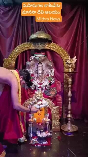 kasheempeta manasadevi temple pooja # #mithra_news #pooja #telangananews #latestnews