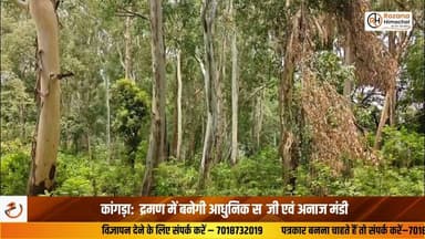 कांगड़ा: द्रमण में बनेगी आधुनिक सब्जी एवं अनाज मंडी
शाहपुर के विधायक एवं उपमुख्य सचेतक केवल सिंह पठानिया ने शुक्रवार को एपीएमसी के चेयरमैन निशु मोंगरा तथा विभिन्न विभागों के अधिकारियों के साथ शाहपुर विधानसभा क्षेत्र के अंतर्गत द्रमण में प्रस्तावित भव्य एवं आधुनिक सब्जी एवं अनाज मंडी के लिए चिन्हित भूमि का निरीक्षण किया। उन्होंने बताया कि द्रमण में लगभग 20 कनाल भूमि पर आधुनिक सुविधाओं से युक्त सब्जी एवं अनाज मंडी का निर्माण किया जाएगा तथा शीघ्र ही इसका शिलान्यास किया जाएगा। साथ ही उन्होंने कहा कि मंडी निर्माण के लिए आवश्यक फॉरेस्ट क्लीयरेंस प्राप्त हो चुकी है और अब निर्माण कार्य प्रारंभ करने की प्रक्रिया को तेजी से आगे बढ़ाया जा रहा है।इस अवसर पर एसडीएम शाहपुर सहित विभिन्न विभागों के अधिकारी एवं गणमान्य नागरिक उपस्थित रहे।
शाहपुर से विशाल वर्मा की रिपोर्ट
#Kangra #Shahpur #Draman #APMC #VegetableMarket #GrainMarket #Farmers #HimachalNews #BreakingNews #HPNews #RozanaHimachal #Development #Agriculture #HimachalPradesh #LatestNews