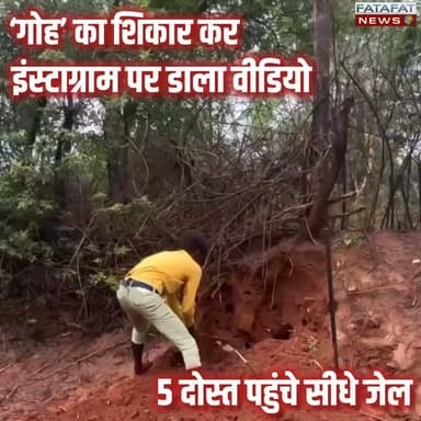 छत्तीसगढ़ के जांजगीर-चांपा जिले से वन्यजीव अपराध का एक चौंकाने वाला मामला सामने आया है। बम्हनीडीह के गोविंदा गांव में पांच आरोपियों ने एक प्रतिबंधित वन्यजीव 'गोह' (Monitor Lizard) का शिकार किया। हालांकि, उनका मकसद कोई रील बनाना नहीं था, लेकिन शिकार के दौरान उन्होंने इस पूरी गैरकानूनी हरकत का वीडियो बना लिया। इसके बाद अनजाने में या लापरवाही में उन्होंने इस वीडियो को सोशल मीडिया पर पोस्ट कर दिया, जो सीधे वन विभाग की नजरों में आ गया।
गैरकानूनी काम का सबूत खुद ही सोशल मीडिया पर छोड़ना इन आरोपियों को भारी पड़ गया। वन विभाग ने वीडियो का तुरंत संज्ञान लिया और तत्परता से कार्रवाई करते हुए वन्यप्राणी संरक्षण अधिनियम के तहत पांचों आरोपियों को गिरफ्तार कर लिया।
#JanjgirChampa #ChhattisgarhNews #WildlifeCrime #ForestDepartment #CrimeUpdate #CGNews #Awareness #EnvironmentalLaw #WildlifeProtection #FatafatNews