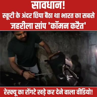 छत्तीसगढ़ के कोरबा जिला अंतर्गत मानस नगर से एक बेहद हैरान और डरा देने वाला मामला सामने आया है, जहां एक शख्स की स्कूटी के फ्रंट वाइजर (सामने के हिस्से) के अंदर भारत का सबसे विषैला सांप 'कॉमन करैत' (Common Krait) जाकर छिप गया। जैसे ही इसकी भनक लगी, इलाके में हड़कंप मच गया। आनन-फानन में सर्पमित्र अविनाश यादव को बुलाया गया, जिन्होंने बेहद सूझबूझ और सावधानी के साथ स्कूटी के सामने के हिस्से को खोलकर इस खतरनाक सांप का सुरक्षित रेस्क्यू किया।
बता दें कि कॉमन करैत सांप रात के समय सबसे ज्यादा एक्टिव होते हैं और इनका एक डंक भी जानलेवा साबित हो सकता है। बारिश के मौसम के कारण इन दिनों सांपों के निकलने की घटनाएं तेजी से बढ़ी हैं। सर्पमित्र अविनाश यादव ने सभी लोगों से अपील की है कि वे इस मौसम में विशेष सावधानी बरतें, अंधेरे में जाने से बचें और अपने वाहनों को स्टार्ट करने या इस्तेमाल करने से पहले अच्छी तरह जांच लें।
#KorbaNews #SnakeRescue #CommonKrait #Chhattisgarh #ViralVideo #SnakeCatching #MonsoonSafety #Alert #TrendingNews #SnakeLover #AvinashYadav #FatafatNews