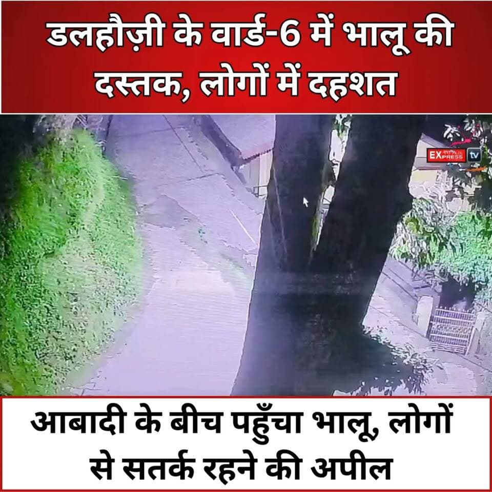 चम्बा : डलहौज़ी के रिहायशी इलाके में घुसा भालू, लक्ष्मी नारायण मंदिर के पास दिखने से दहशत
#चंबा #डलहौजी #Dalhousie #भालू #BearAlert #Wildlife #WildAnimal #HimachalPradesh #HimachalNews #BreakingNews #LatestNews #NewsUpdate #ForestDepartment #StayAlert #ViralVideo