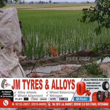 ट्रैक्टर पर पेड़ गिरने से युवक की मौत..
रतिया में सोमवार शाम को सड़क किनारे खड़ा पेड़ अचानक एक ट्रैक्टर पर गिर गया। हादसे में चालक की मौके पर ही मौत हो गई। मृतक की पहचान गांव बीराबदी निवासी मनप्रीत सिंह (35) के रूप में हुई है। वह सीमेंट-रेता की दुकान पर काम करता था। सोमवार को वह नागपुर से तामसपुरा की ओर किसी के घर बजरी छोड़ने जा रहा था। हादसे में मनप्रीत सिंह के सिर और छाती पर गंभीर चोटें आईं। मनप्रीत सिंह शादीशुदा था और उसके दो छोटे बच्चे हैं। वह अपनी मां का इकलौता बेटा और परिवार का एकमात्र कमाने वाला सदस्य था। उसकी दो बहनों की शादी हो चुकी है। बचपन में ही उसके पिता का निधन हो गया था, जिसके बाद से परिवार की पूरी जिम्मेदारी मनप्रीत ही संभाल रहा था।
#ratia #fatehabad #haryana