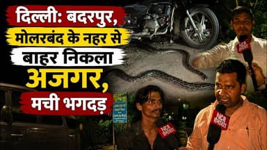 दिल्ली: बदरपुर, मोलरबंद के नहर से बाहर निकला अजगर, मची भगदड़ ! #python #snakerescue