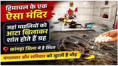 हिमाचल के एक ऐसा मंदिर जहां मछलियों को आटा खिलाकर शांत होते हैं ग्रह
https://youtu.be/o2LQhQa3WAo
#kangra #NagrotaBagwan #Mumta #shrimachhindranathtemple #fish #wearing #bali #ewn24news #choiceofhimachal #himachalnews #himachalbreakingnews #HimachalPradesh