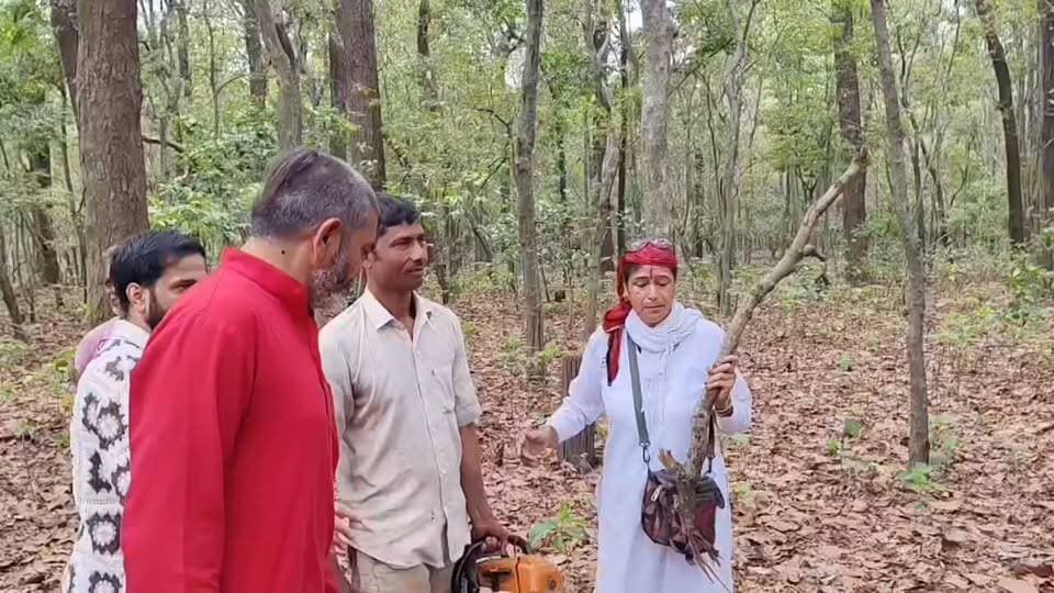 उत्तराखंड क्रांति दल ने सात मोड़ पर 4000 पेड़ों के हत्याकांड के खिलाफ़ छेड़ी आर-पार की जंग...
#जयपहाड़जयपहाड़ी
#उक्रांद