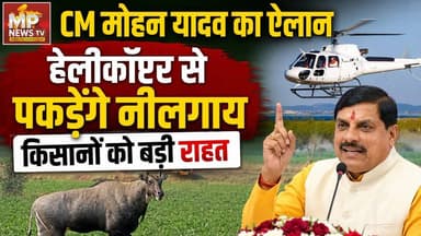 CM मोहन यादव ने खत्म की किसानों की टेंशन, हेलीकॉप्टर से नीलगाय पकड़ेगी सरकार! MP News Indore
#MPNews #cmmohanyadav #nilgay #helicopter