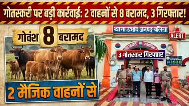 🚨 बलिया पुलिस की बड़ी कार्रवाई: 2 मैजिक वाहनों से 8 गोवंश बरामद, 3 गोतस्कर गिरफ्तार 🚨
थाना उभांव पुलिस को मिली बड़ी सफलता! पुलिस अधीक्षक श्री ओमवीर सिंह के कुशल निर्देशन में चलाए जा रहे अभियान के तहत, पुलिस टीम ने चौकिया मोड़ के पास घेराबंदी कर 3 शातिर गोतस्करों को रंगे हाथों दबोच लिया। कीचड़ में गाड़ियां फंसने के कारण तस्कर भागने में नाकाम रहे।
बरामदगी:
🔹 08 अदद गोवंश (तस्करी हेतु ले जाए जा रहे)
🔹 03 अवैध रामपुरी चाकू
🔹 02 मैजिक वाहन (UP60AT2107 व UP60BT3523)
⚖️ पकड़े गए अभियुक्तों (गनेश यादव, कन्हैया यादव व दीपक कुमार वर्मा) के खिलाफ गोवध निवारण अधिनियम, पशु क्रूरता निवारण अधिनियम और आर्म्स एक्ट के तहत मुकदमा दर्ज कर उन्हें माननीय न्यायालय भेजा गया है।
#BalliaPolice #ActionAgainstCrime #UPPolice #LawAndOrder #CrimeUpdate
