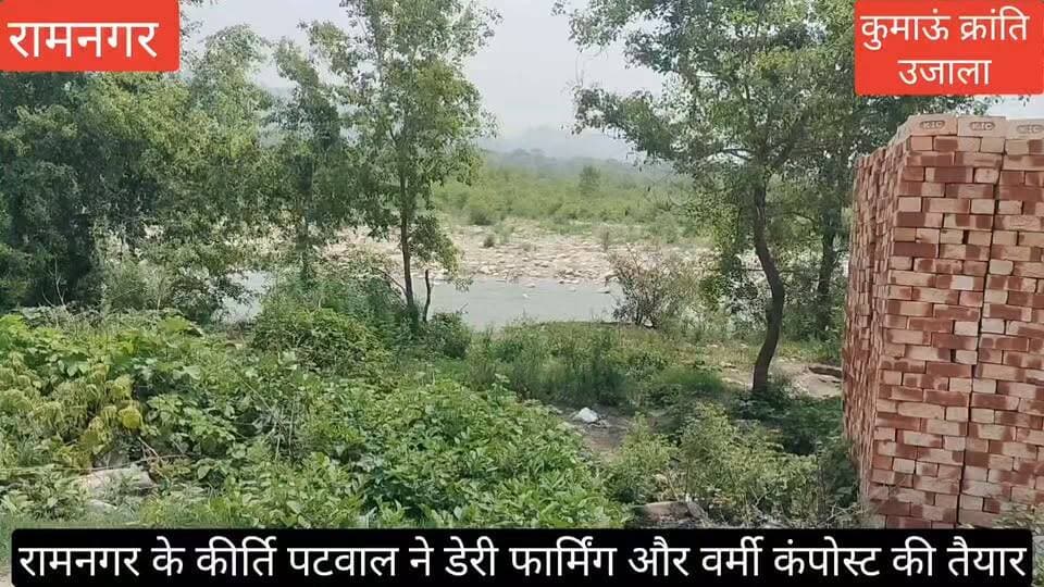 #रामनगर के पुछडी क्षेत्र के रहने वाले #प्रगतिशील युवा कृषक कीर्ति पटवाल ने #डेयरी फार्मिंग और #वर्मी कंपोस्ट का कार्य कर एक #शानदार मिशाल पेश की, आखिर क्यों खास यह खबर,
देखिए वीडियो -
#uttarakhand #Ramnagar #nainital