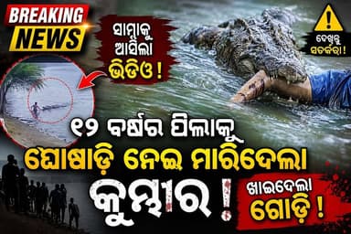 ୧୨ ବର୍ଷର ପିଲାକୁ ଘୋଷାଡ଼ି ନେଇ ମାରିଦେଲା କୁମ୍ଭୀର! ଗୋଡ଼ ଖାଇଦେଇଥିବା ସାମ୍ନାକୁ ଆସିଲା ଭାଇରାଲ୍ ଭିଡିଓ।
#BreakingNews #Crocodile #Odisha #News #ViralVideo #NewsUpdateNews #news7odia #Odisha #viralpost