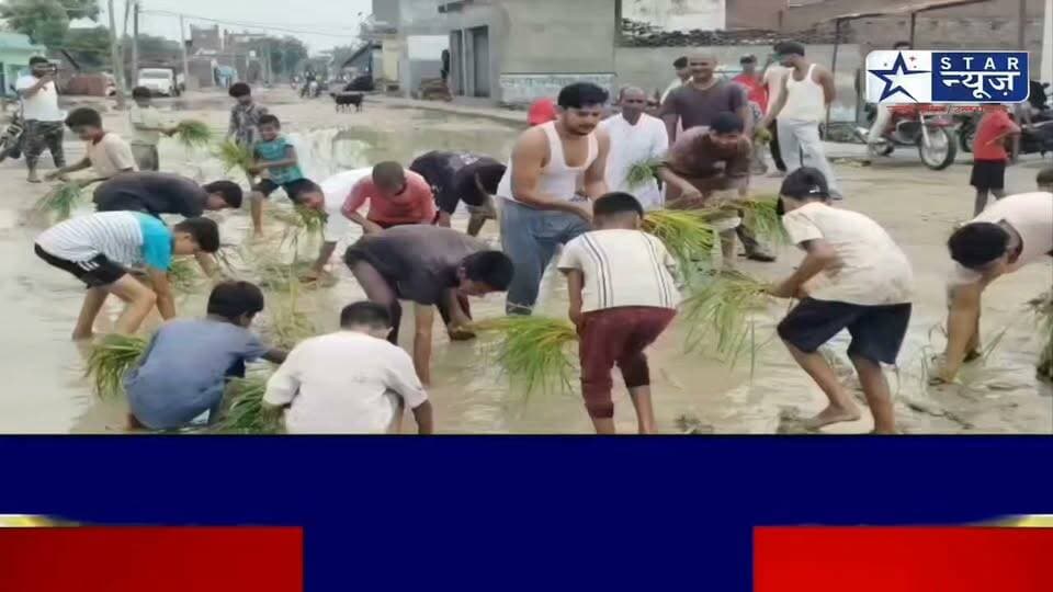 #Sitapur#जब सड़क बन गयी खेत, होने लगी धान की खेती#