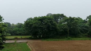 #बख्तियारपुर के ग्रामीण क्षेत्र से मौसम का सुबह-सुबह सुहावना अंदाज, सुबह की पहली किरण से पहले बारिश की मीठी-मीठी बूंदे...
क्या आपके तरफ भी हो रही बारिश कमेंट में जरूर बताएं..