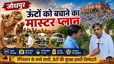 ऊंटपालकों के लिए बड़ी खुशखबरी | Sujas Samachar | #jodhpur #camel