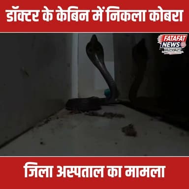 छत्तीसगढ़ के कोरबा जिला अस्पताल से एक हैरान कर देने वाला मामला सामने आया है। यहाँ डॉक्टर के केबिन में उस वक्त हड़कंप मच गया, जब टेबल पर अचानक एक जहरीला कोबरा सांप बैठा दिखाई दिया। कोबरा को देखते ही केबिन में मौजूद लोगों के होश उड़ गए और अस्पताल परिसर में भगदड़ जैसी स्थिति बन गई। गनीमत रही कि समय रहते सांप पर नजर पड़ गई और बड़ा हादसा टल गया।
घटना की सूचना तुरंत सर्पमित्र को दी गई, जिन्होंने भारी मशक्कत के बाद बेहद सावधानी से कोबरा का रेस्क्यू किया और उसे सुरक्षित पास के जंगल में छोड़ दिया।
#KorbaNews #ChhattisgarhNews #CobraRescue #SnakeRescue #Korba #BreakingNews #HospitalIncident #ViralVideo #CGNews #FatafatNews