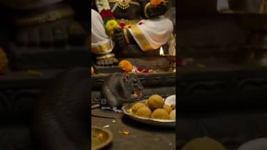 ॐ गंग गणपतये नमो नमः #ganpati #ganesh #bappamourya #trending