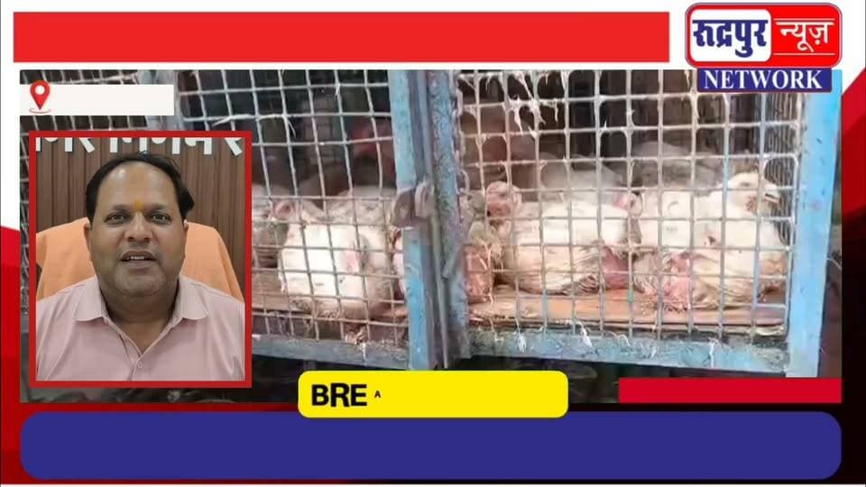 रुद्रपुर में फिर नगर निगम ने इन मां#स मछ#ली की दुकानों को बंद रखने के दिए आदेश
