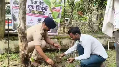 औरंगाबाद के सलैया में "एक पेड़ एक ज़िंदगी" अभियान की धूम, मुखिया-थानाध्यक्ष समेत जनप्रतिनिधियों और ग्रामीणों ने किया पौधारोपण
#DainikBhaskar
#EkPedEkZindagi
#TreePlantation
#Madnnpur
#Salaiya
#Aurangabad
#Bihar
#Environment
#GreenIndia
#GoGreen
#SaveEarth
#PlantTrees
#ClimateAction