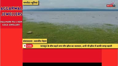 नगरोटा सूरियां : धीरे-धीरे बढ़ रहा पौंग झील का जलस्तर, पुराने कुएं पानी में समाने लगे
#PongDam #PongLake #NagrotaSurian #Kangra #HimachalPradesh #BeasRiver #Monsoon2026 #WaterLevel #RainUpdate #BreakingNews #HimachalNews #FloodUpdate #WeatherAlert #Nature #IndiaNews