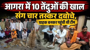 आगरा में 10 तेंदुओं की खाल बरामद | ग्राहक बनकर पहुंची टीम, 4 तस्कर गिरफ्तार | Wildlife Smuggling Bust
#Agra #LeopardSkin #Leopard #WildlifeSmuggling #WildlifeCrime #WildlifeSOS #ForestDepartment #UPPolice #AgraNews #BreakingNews #HindiNews #UPNews #Wildlife #CrimeNews #LeopardSkinSeized #ForestNews #AnimalTrafficking #WildlifeProtection #BigBreaking #IndiaNews #LatestNews #ViralNews #NewsUpdate #PoliceAction #IllegalTrade #WildlifeConservation #Environment #TigerAndLeopard #Crime #News
Agra Leopard Skin Case, Agra Wildlife Smuggling, 10 Leopard Skins Recovered, Leopard Skin Seized, Wildlife SOS Raid, Forest Department Raid, Agra Breaking News, UP Police News, Wildlife Crime India, Leopard Skin Trafficking, Illegal Wildlife Trade, Agra Crime News, Forest Department Action, Animal Trafficking News, Uttar Pradesh News, Hindi News, Latest Agra News, Wildlife Conservation India, DFO Samyak, Leopard Skin Smuggling India