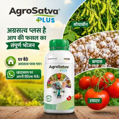सोयाबीन , कपास , टमाटर, पर प्रथम छिड़काव करना है ? घर बैठे अग्रसत्व प्लस पाए। व्हाट्सएप पर अपनी डिटेल्स भेजे। अग्रसत्व प्लस है आप की फसल का संपूर्ण भोजन, #सोयाबीन #कपास #टमाटर