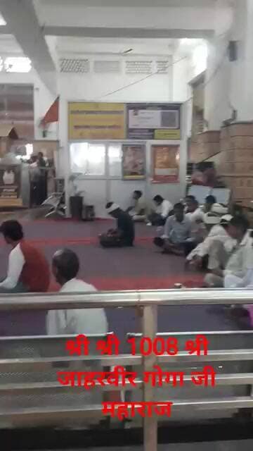श्री जाहरवीर गोगा जी महाराज कितने लोगों ने पहुंच कर हाजिरी लगाई एक हाजरी यहां भी#public #etc