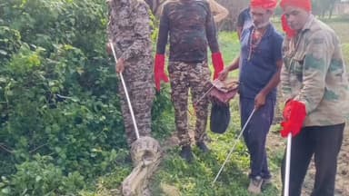 मझगवां वन विभाग की टीम ने 8 फ़ीट अजगर सांप का किया रेस्क्यू।
मझगवां वन विभाग रेस्क्यू टीम को सूचना मिली थी की ग्राम पंचायत बाधी में श्रीकांत द्विवेदी के खेत में लगभग 8 फीट लंबा अजगर सांप मौजूद है, सूचना उपरांत मौके पर पहुंची वन विभाग की रेस्क्यू टीम के विनोद पाण्डेय एवं उनके सहयोगियों ने 8 फिट लंबे अजगर सर्प का रेस्क्यू कर सुरक्षित जंगल मे छोड़ा।
#rescue #snake #satna #satnanews #chitrakootexpress