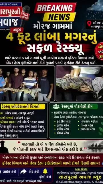 મોરજ ગામે 4 ફૂટ લાંબા મગરનું રેસ્ક્યુ