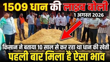 1509 धान की लाइव बोली 🌾 किसान ने बताया:- 10 साल में पहली बार मिला ऐसा रिकॉर्ड तोड़ भाव #mandibhav