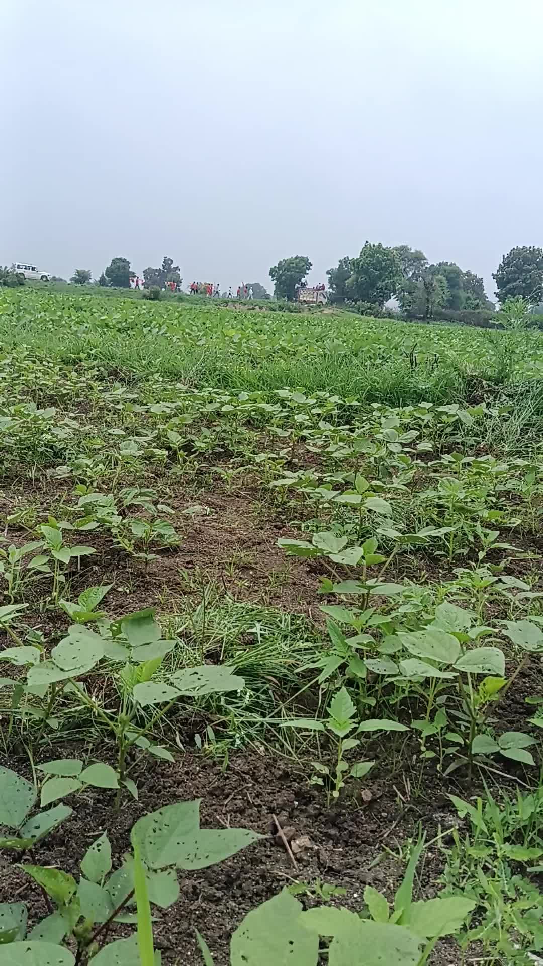 लालितपुर ग्राम minora कबाड़ यात्रा आगवन जय श्री महाकाल बाबा महाकाल बाबा महाकाल जी #ललितपुर