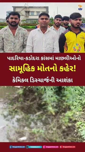 વાગરા: પાદરિયા-કડોદરા કાંસમાં માછલીઓનો સામૂહિક મોતનો કહેર! કેમિકલ ડિસ્ચાર્જની આશંકા..