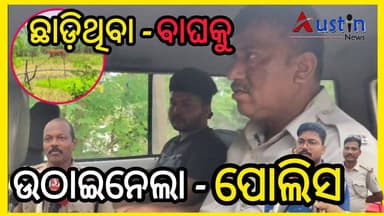 #ଛାଡ଼ିଥିବା_ବାଘକୁ_ଉଠାଇନେଲା_ପୋଲିସ
ପୋଲିସ ଓ ବନ ବିଭାଗକୁ ନାକେଦମ କଲେ ଯୁବକ, ଶେଷରେ ଜେରା ପରେ ମାନିଲେ ମୁଁ କରିଥିଲି ଏମିତି କାଣ୍ଡ, ଏବେ ପୋଲିସ ହେପାଜତରେ। ପୋଲିସ ପକ୍ଷରୁ ଗୁଜବ ବୋଲି ସ୍ପଷ୍ଟୀକରଣ।
#TigerViral
#TigerViral
#FakePhoto
#BalichandrapurPolice
#FalseAligation
#AustinNews
#OdishaNews