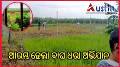 #ଆରମ୍ଭ_ହେଲା_ବାଘ_ଧରା_ଅଭିଯାନ
ଯାଜପୁର ଜିଲ୍ଲା ବଡ଼ଚଣା ବ୍ଲକ ସାଉଡିଆ ପଞ୍ଚାୟତ ତାଳୁଆ ଗ୍ରାମର ଆଖୁ ବିଲରେ ବାଘ ।ସତର୍କ ରୁହନ୍ତୁ ସାବଧାନ ରୁହନ୍ତୁ ଘଟଣା ସ୍ଥଳରେ ବାଲିଚନ୍ଦ୍ରପୁର ଥାନା ଅଧିକାରୀ ପହଞ୍ଚି ଆୟତ୍ତ ପାଇଁ ବନ ବିଭାଗ ପ୍ରଶାସନ ସହ ଖାନ ତଲାସି କରୁଛନ୍ତି।
#BreakingNews
#TigerNation
#VillageTiger
#Barachana
#BalichandrapurPS
#ForestDepartment
#AustinNews