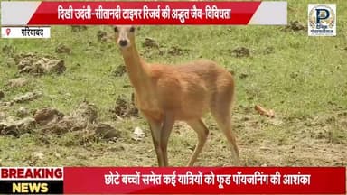 Udanti sitanadi tiger reserve|उदंति सितानदी टाइगर रिजर्व मे दिखा अद्भुत जैव विविधता |#gariyabandnews