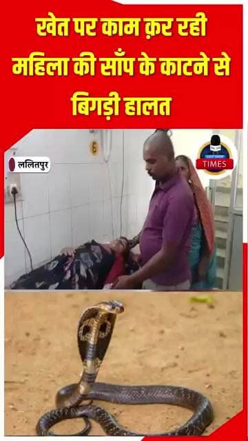 ललितपुर ब्रेकिंगखेत पर काम क़र रही महिला की साँप के काटने से बिगड़ी
