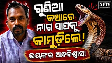 ଝାରସୁଗୁଡ଼ା: ନାଗ ସାପକୁ ହାତରେ ଧରି… ଫଣାକୁ ଦାନ୍ତରେ କାମୁଡ଼ିଦେଲେ!
ଗୁଣିଆଙ୍କ କଥାରେ ବିଶ୍ୱାସ କରି ଅଜବ କାଣ୍ଡ!
#Jharsuguda #JharsugudaNews #Pakelpada #Karmapada #Odisha #OdishaNews #OdiaNews #Snake #SnakeBite #SnakeNews #ViralNews #BreakingNews #OdishaViral #Superstition #Awareness #NewsUpdate #LocalNews #NFTV #NFTVNews