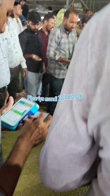 Moong bhav #viral #mandi #moong #pipariya